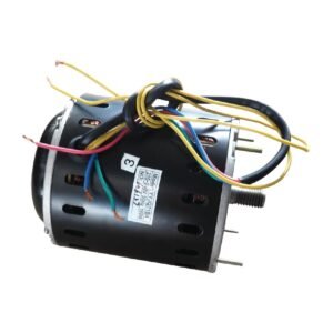 Buffalo Motor