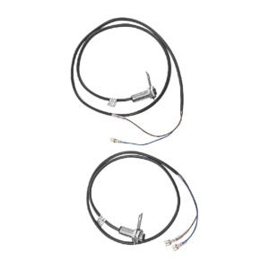 Buffalo Reed Switch
