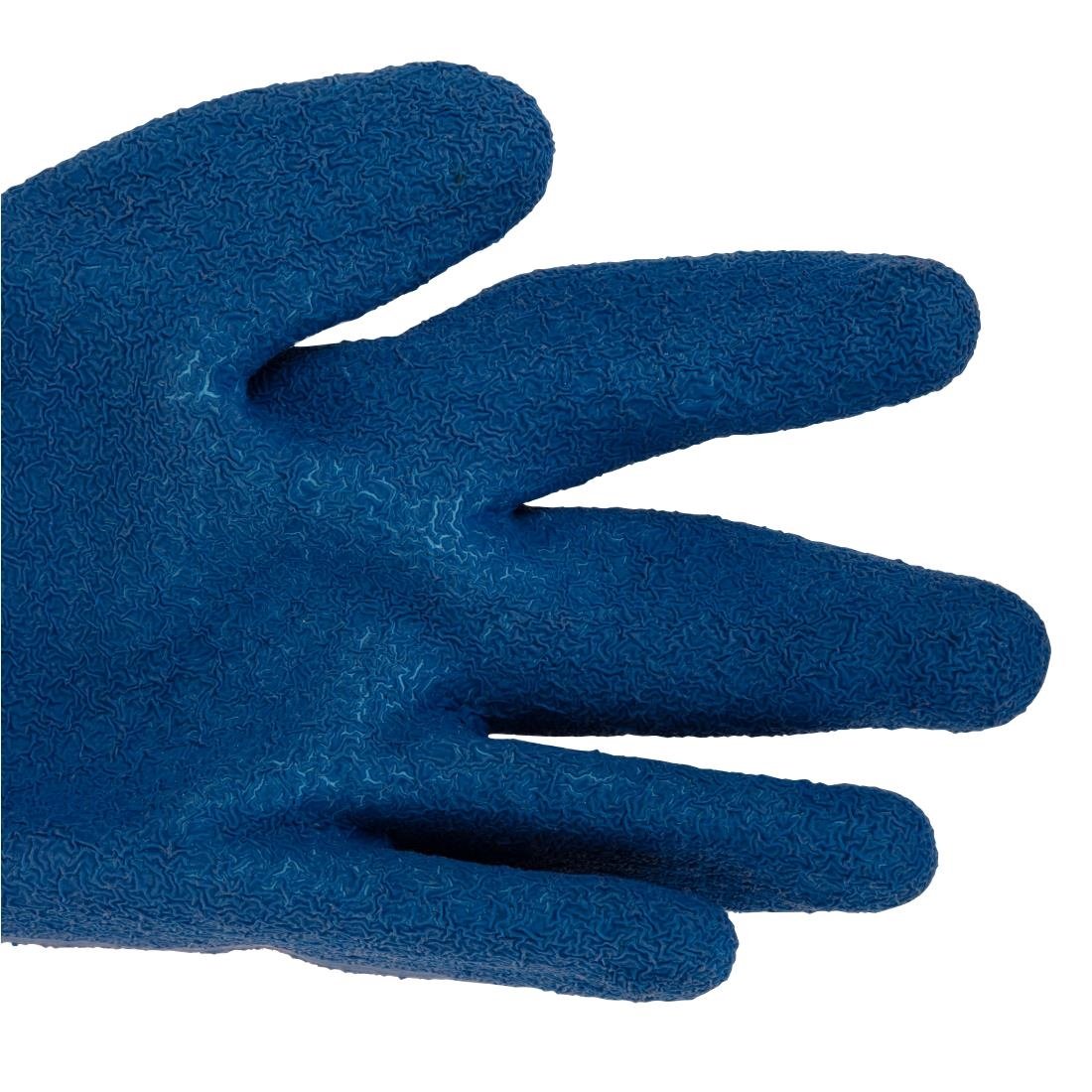 diepvrieshandschoenen (paar) Diepvrieshandschoenen (paar)