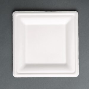 Fiesta Compostable composteerbare bagasse borden vierkant 261mm (50 stuks)