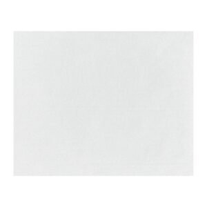Fiesta Composteerbare Burgerverpakkingen Wit 250x200mm (200 stuks)