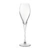 Utopia Monte Carlo Champagneglazen 230ml (24 Stuks)