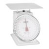 Vogue platform weegschaal 20kg